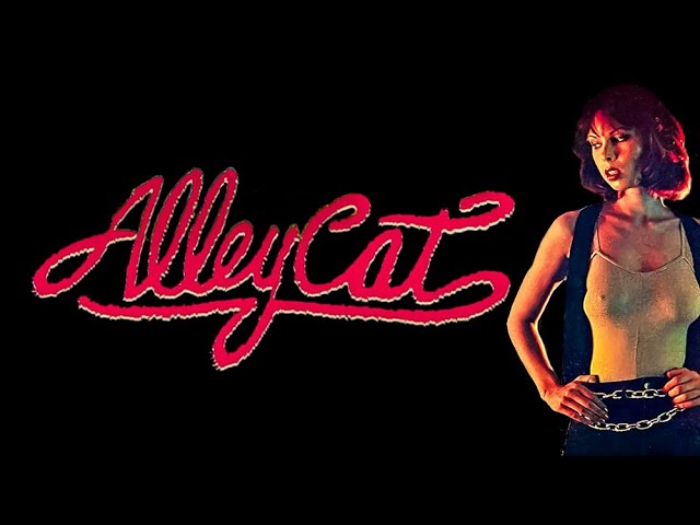 Videoclub de culto gratuito: Alley Cat (1984) | Una exploración de la identidad y la violencia en el cine de artes marciales trash